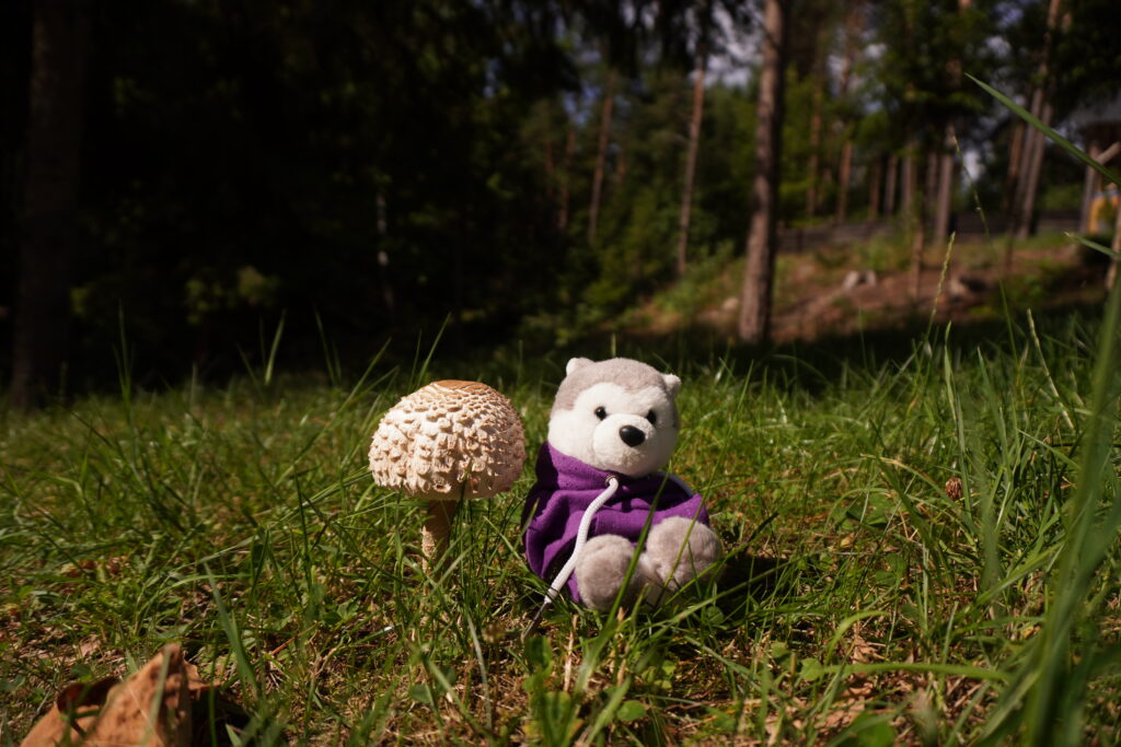 Silky Kids circus classes, aerial silks, aerial hoop